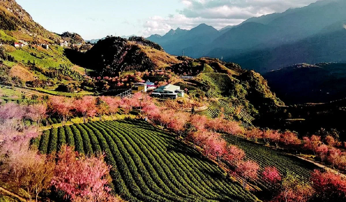 Mountain landscape seen during a Sapa trekking tour